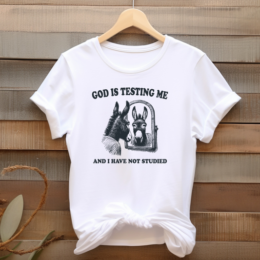 God Is Testing Me And I Have Not Studied T-Shirt